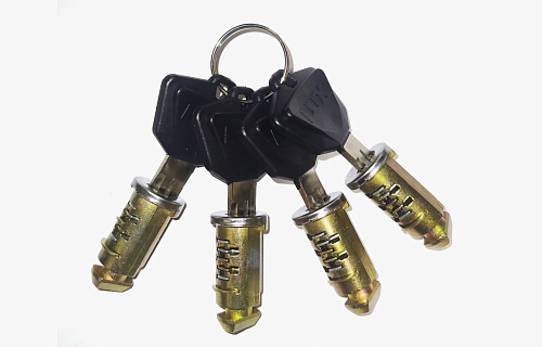 Набор личинок с ключами багажной системы LUX (4 шт.)